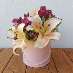 Caixa Redonda Cartonada Alta com Alça