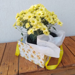 Caixa Sacola Cartonada com Alça de Cetim