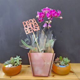 Cachepot e Haste em MDF Estampado