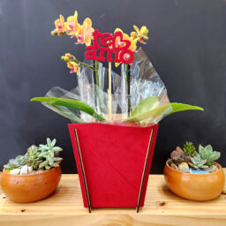 Cachepot e Haste em MDF Estampado